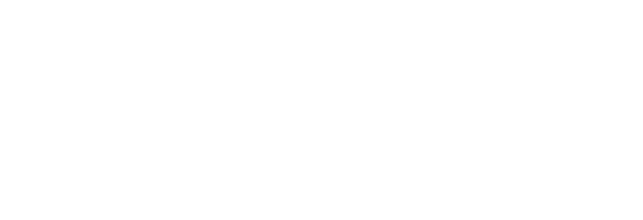 Insight Partners